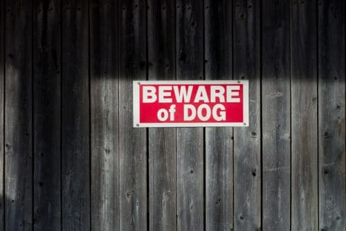 What Does Beware of Dog Really Mean?