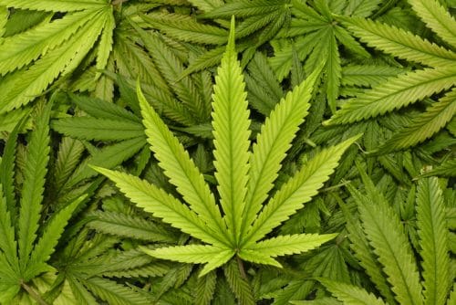 How Legal Marijuana Impacts Your Personal Injury Case