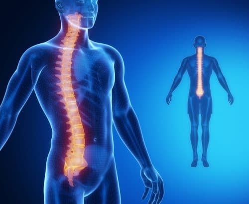 Spinal Cord Injuries Have Many Causes: Including Medical Errors