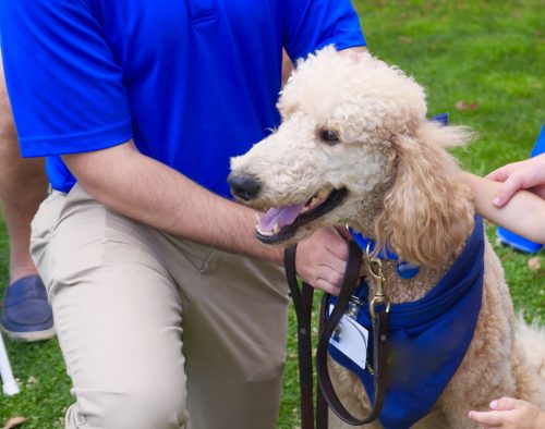 How to Protect Your Legal Interests if You Are Bitten by an Emotional Support Dog