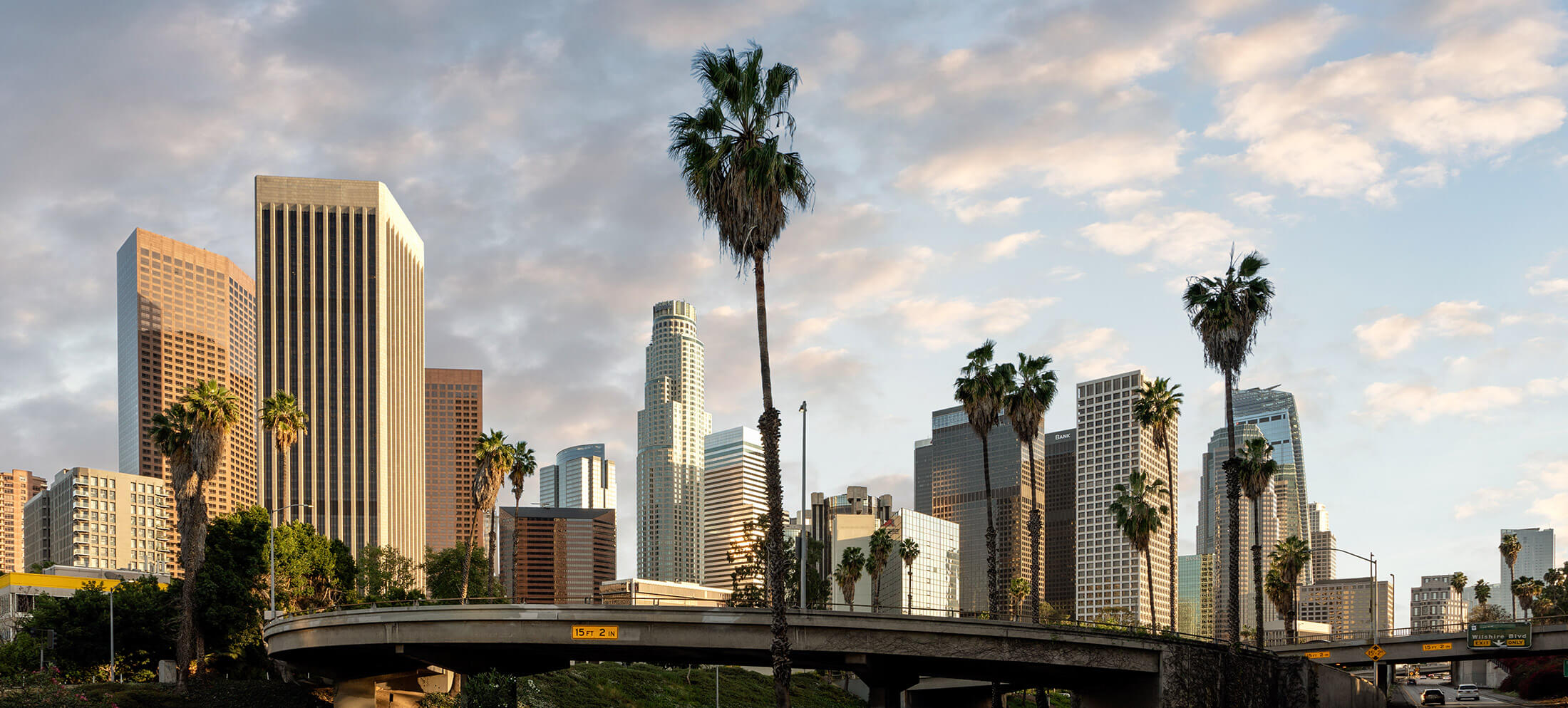 Los Angeles City View